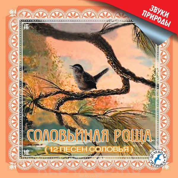 Картинки песня соловьи